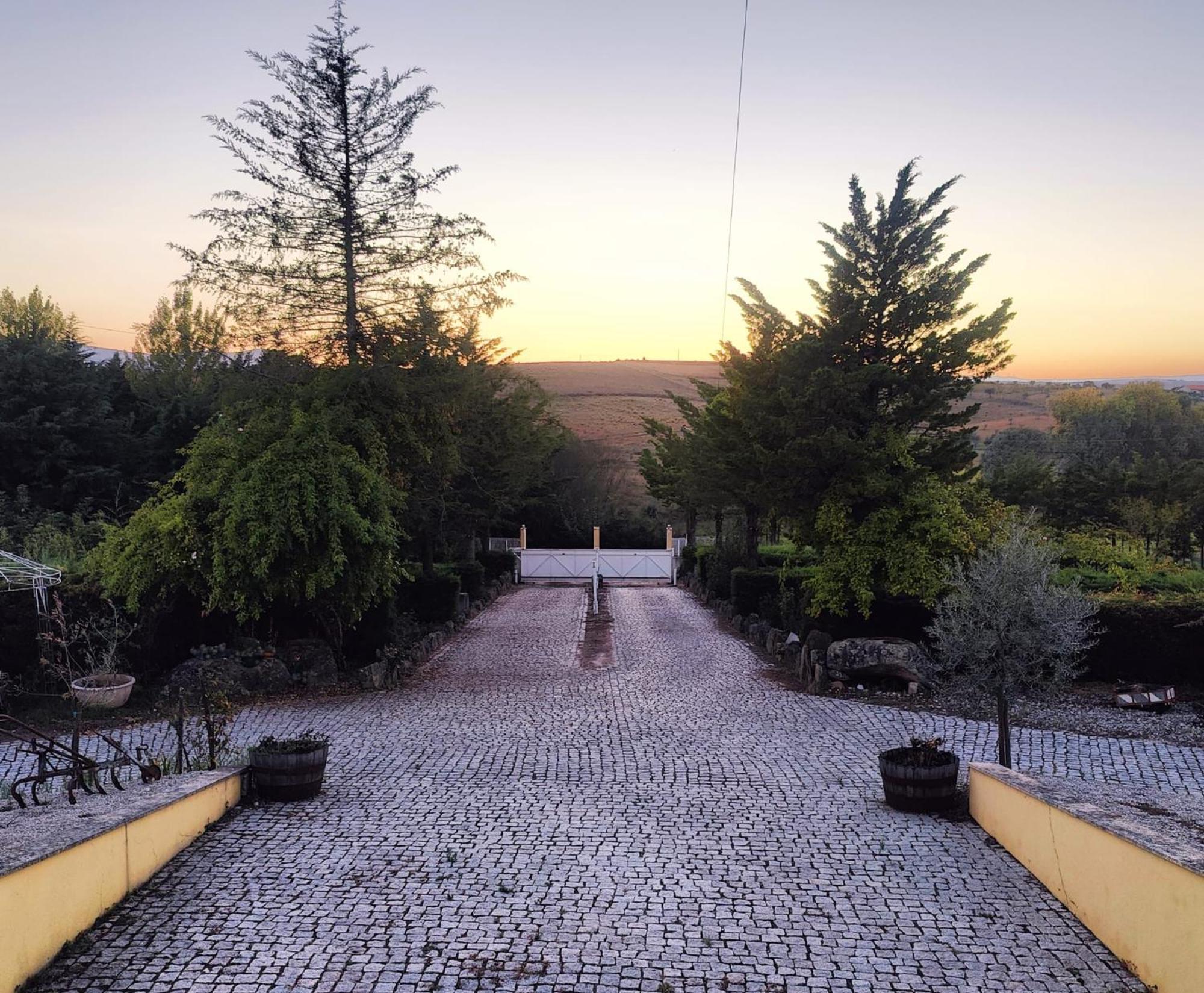 Quinta Da Libelinha Alojamento Local - Mirandela Bagian luar foto